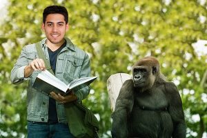 How much can a Gorilla Bench Press? Speed and Weight PabloGarduno